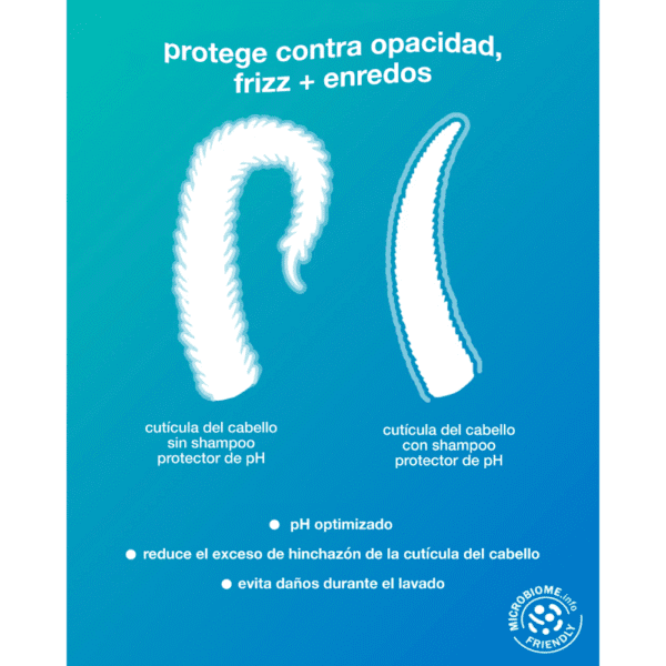 Shampoo protector de pH DAMAGE SHIELD 250ml - Imagen 3