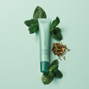 Lip Balm Moroccan Mint Tea 15 grs