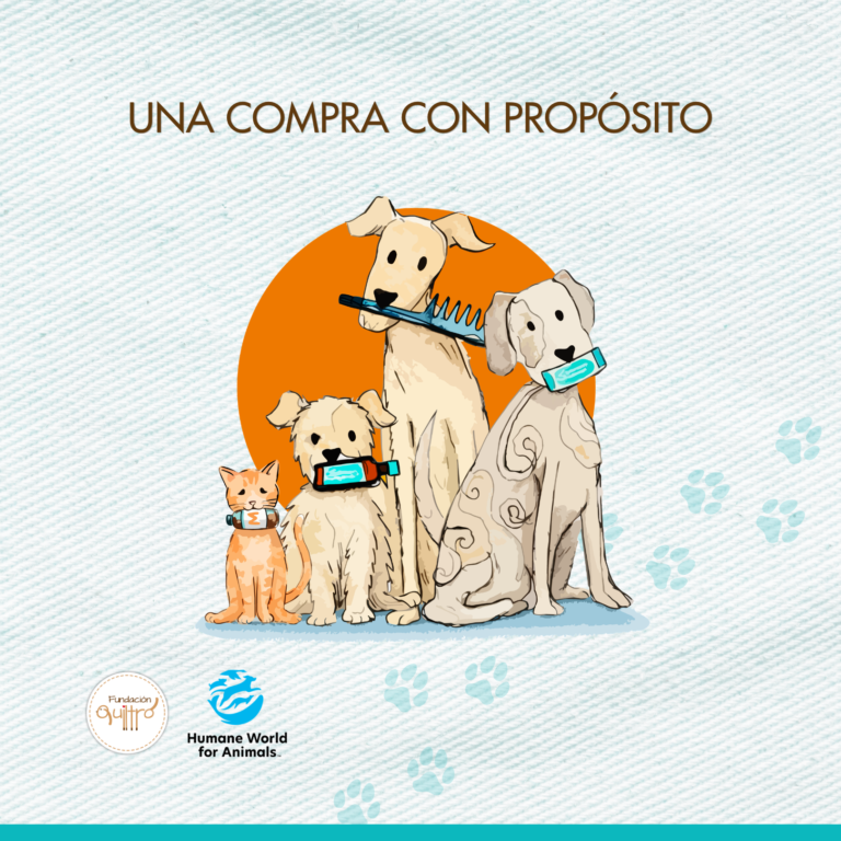 Una compra con propósito