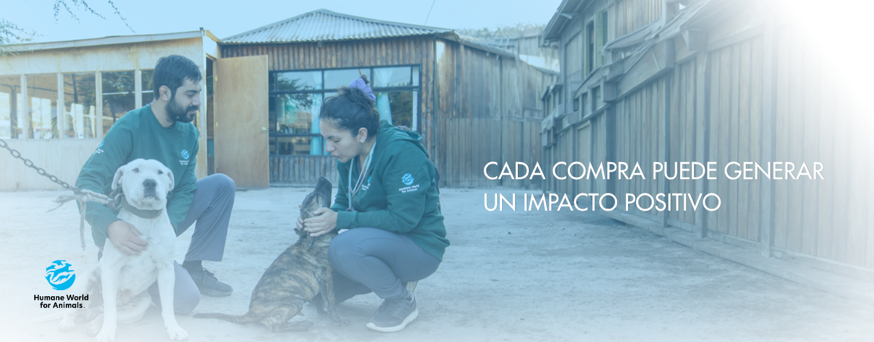 Destino Hidratación: Cada Compra, un Gesto de Cuidado