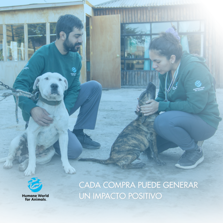Destino Hidratación: Cada Compra, un Gesto de Cuidado
