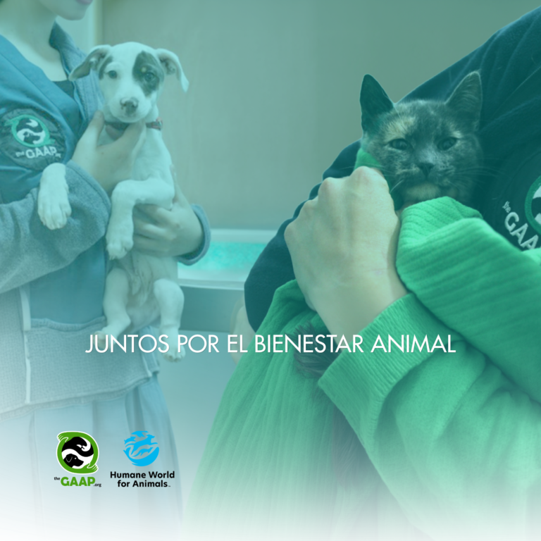 Juntos por el Bienestar Animal
