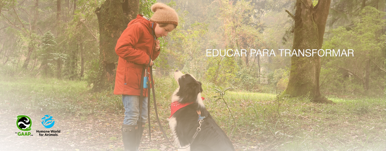 Un Compromiso que Crece: Educación, Salud y Bienestar Animal