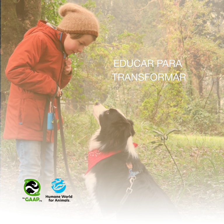 Un Compromiso que Crece: Educación, Salud y Bienestar Animal