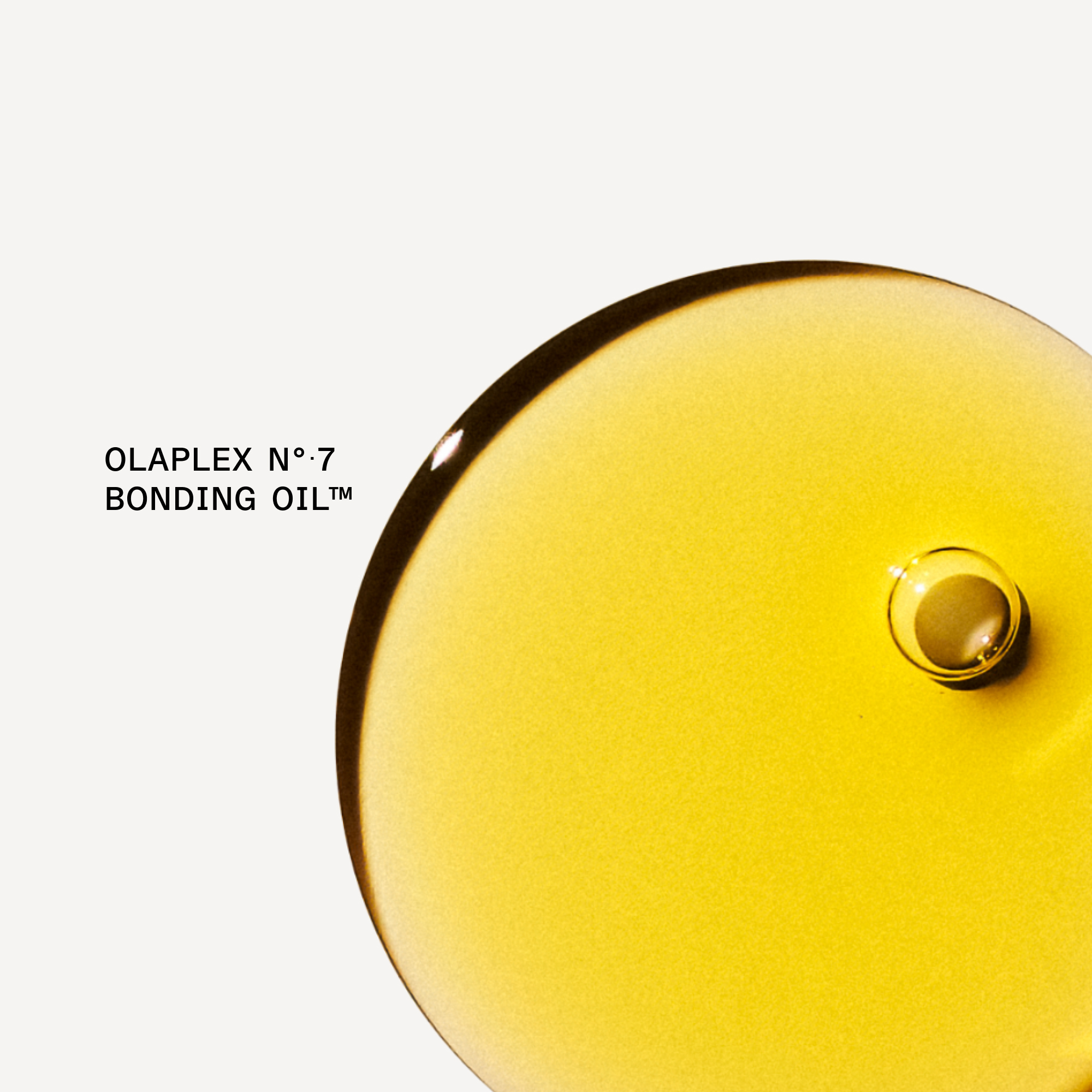 OLAPLEX The Key to Shine Set - Imagen 6