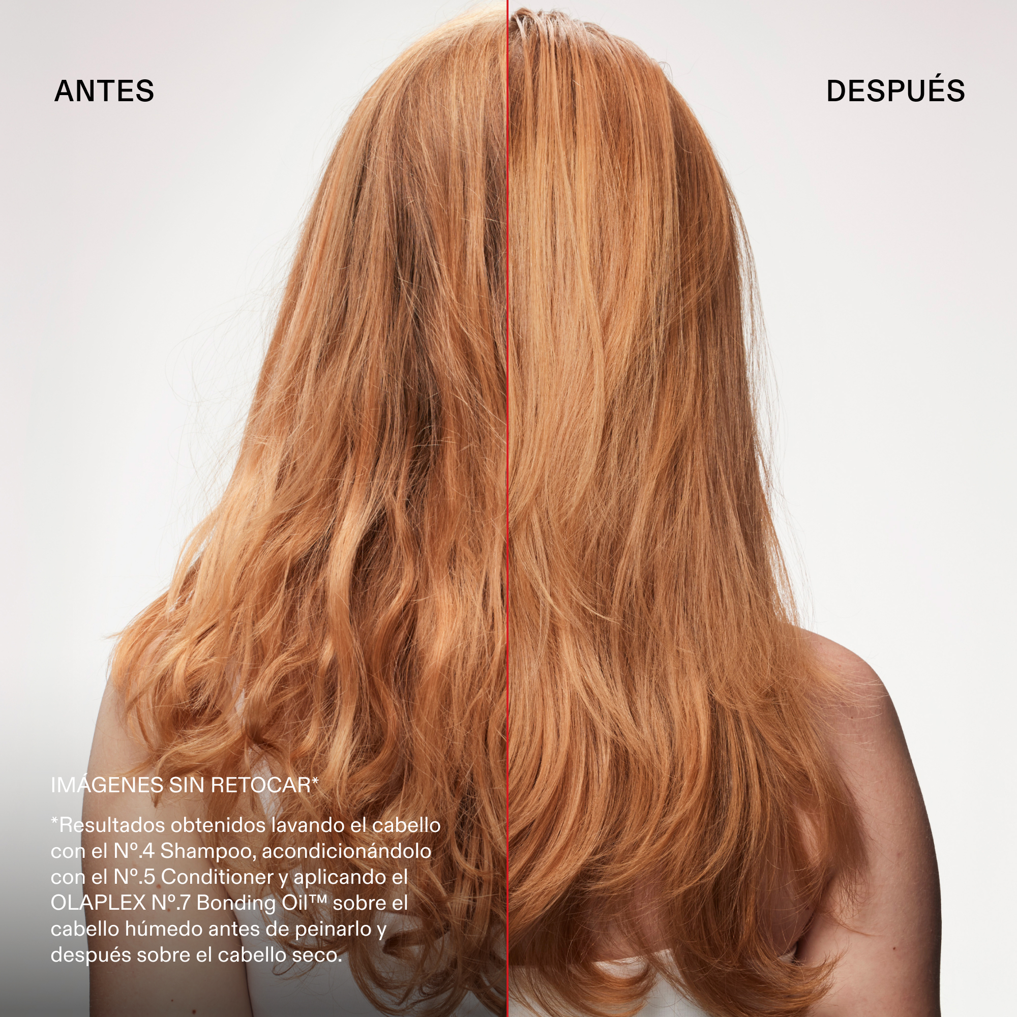 OLAPLEX The Key to Shine Set - Imagen 4