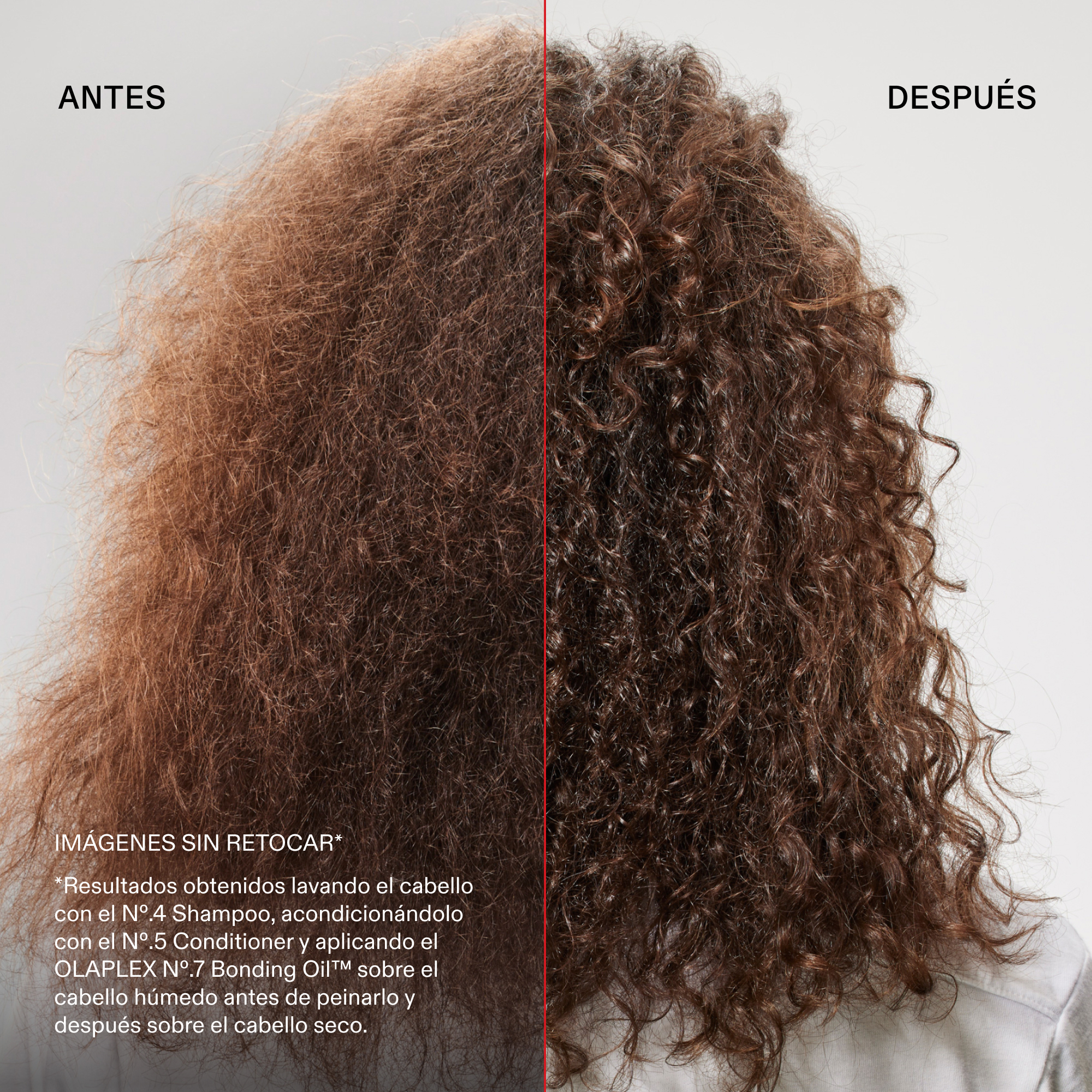 OLAPLEX The Key to Shine Set - Imagen 3